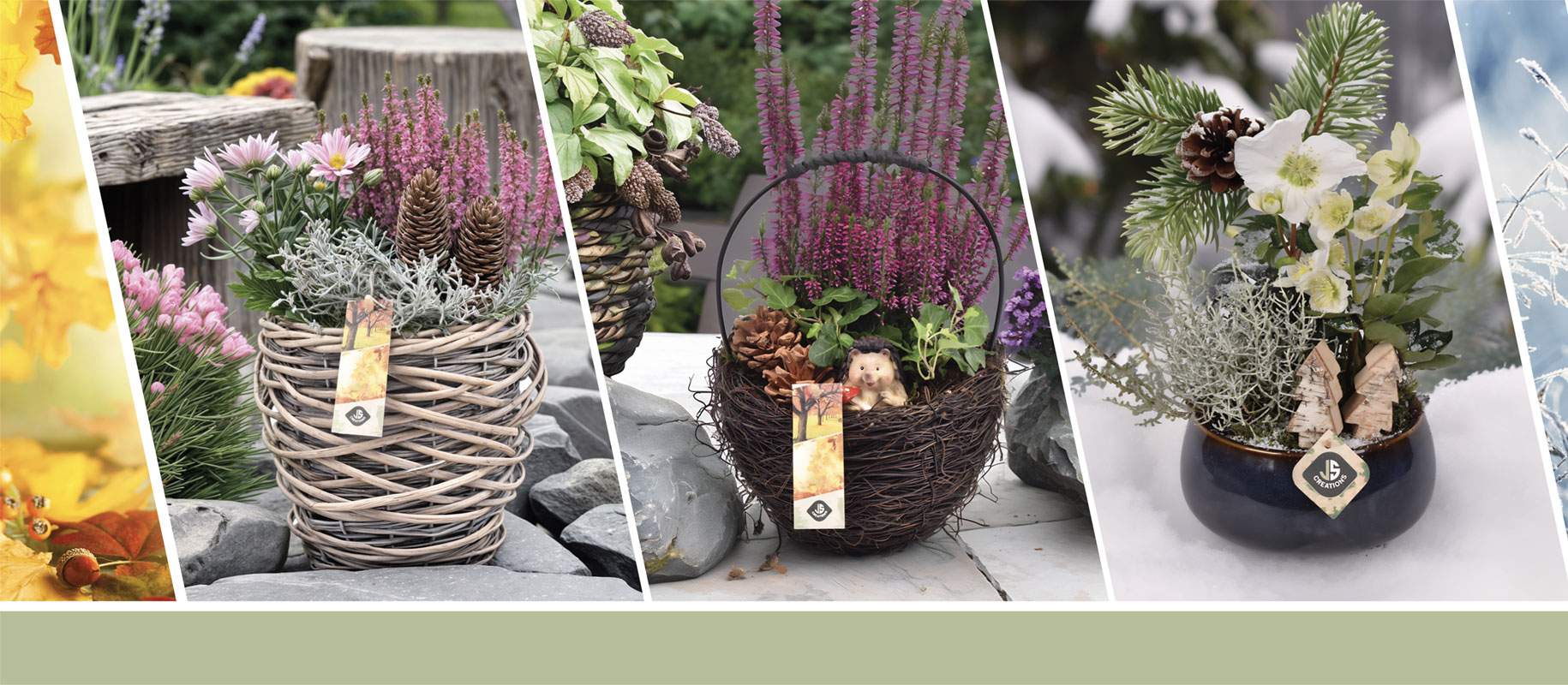 Creatieve plantenarrangementen