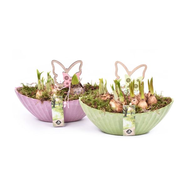 Frühling