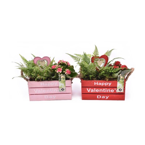Valentijn